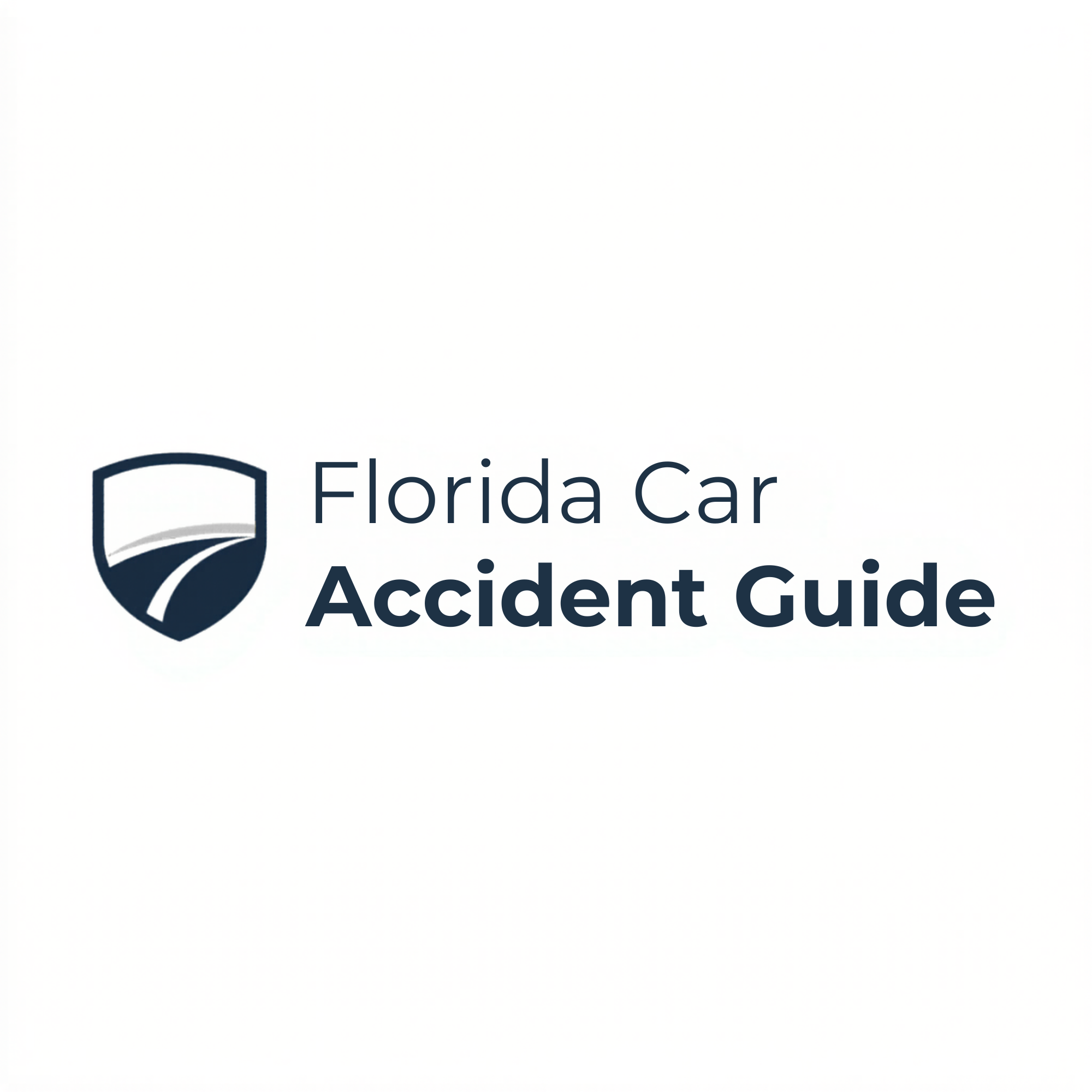 Florida Car Accident Guide